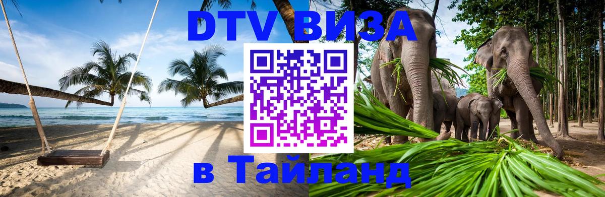 Сколько стоит DTV виза — актуальные цены, оформление даже без документов - Великий Новгород 